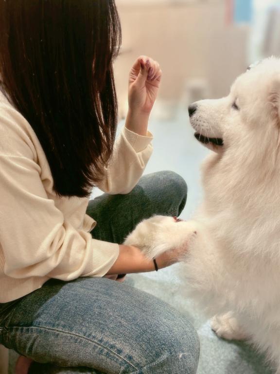 いやし