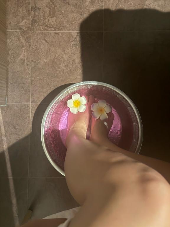 おはようございます🌞