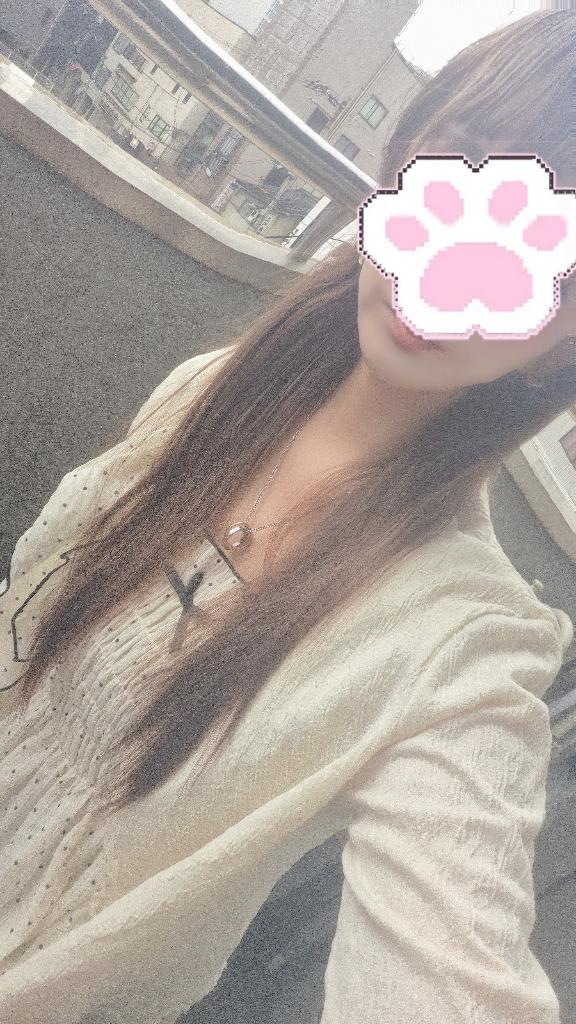 今日の