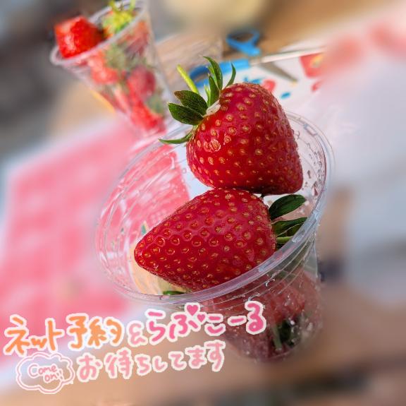 おはようございます(*ˊᗜˋ*)/♡
