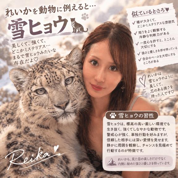 AI動物診断とやらをやってみた🐱