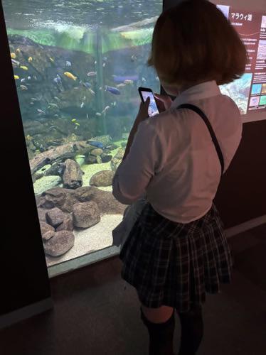 写メ日記サムネイル