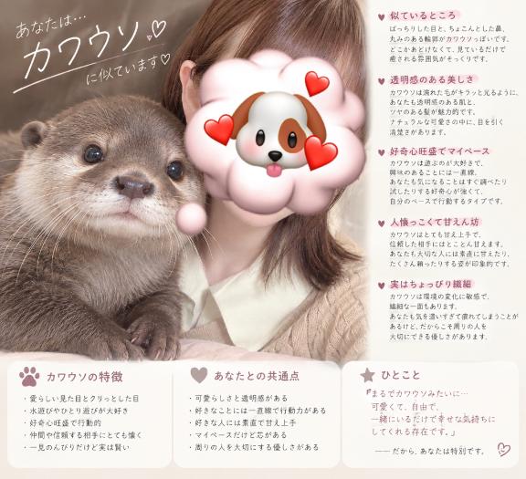私、カワウソらしいです🦦