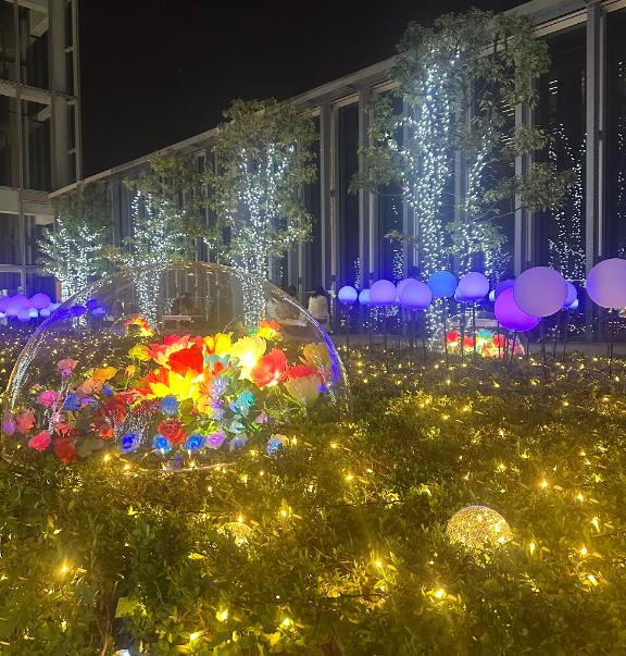 初めての経験😳