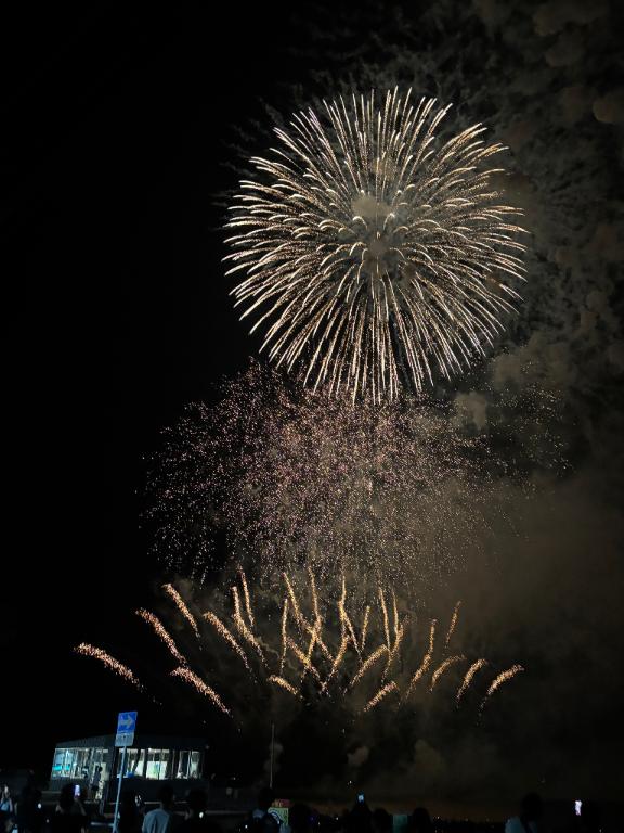 今年も🎇