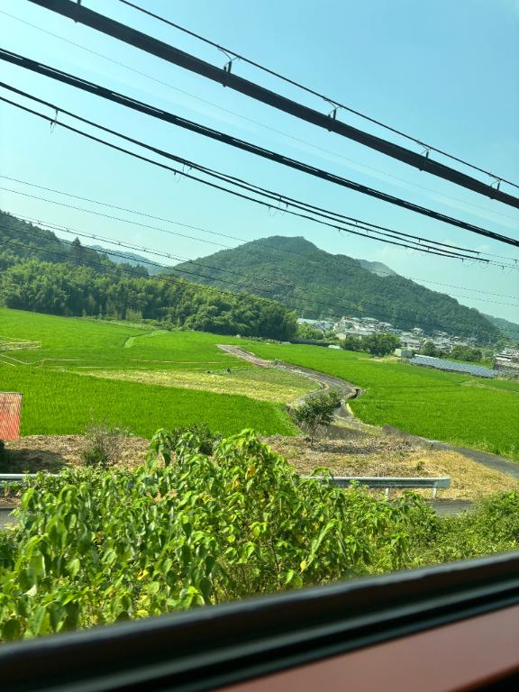 青の交響曲