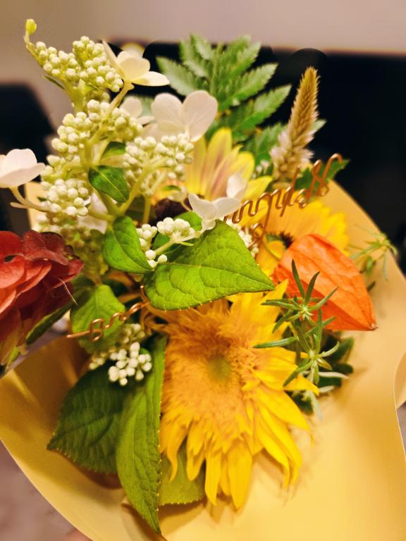 🌻