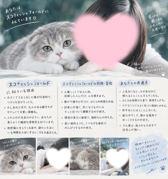 にゃー🐈🐾