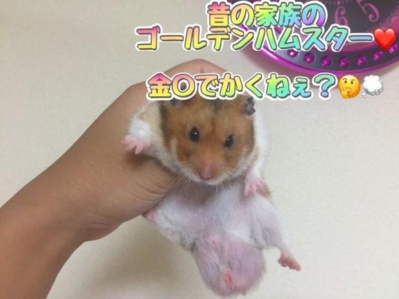 写メ日記サムネイル
