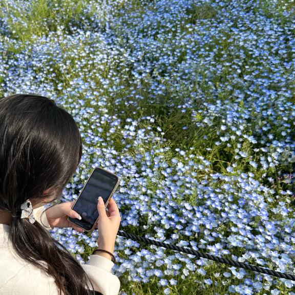 写メ日記サムネイル