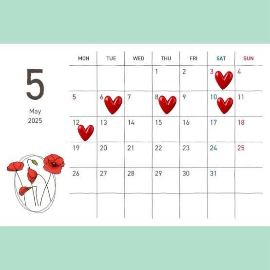 【5月の予定表🎏】