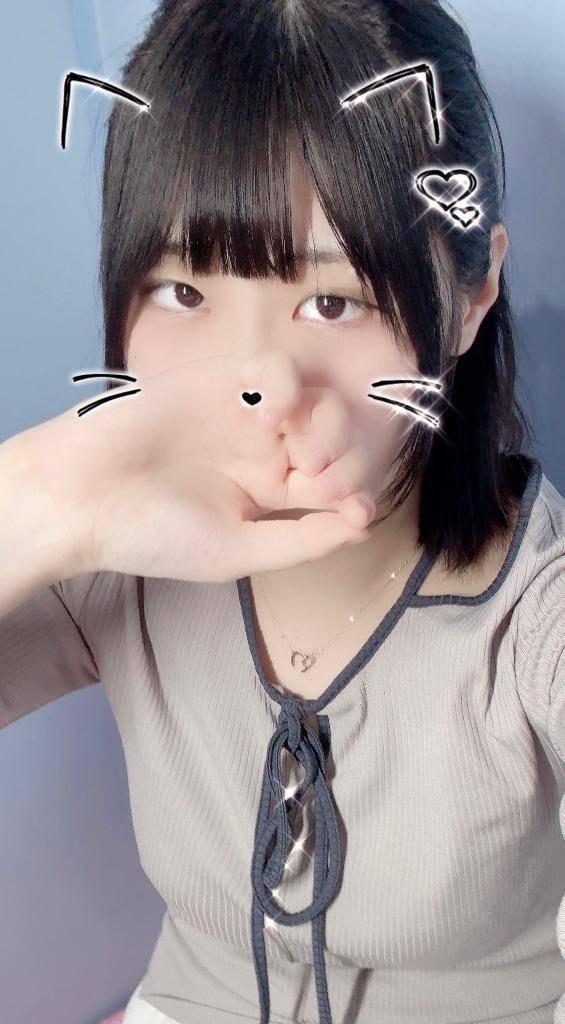 出勤です🐈️