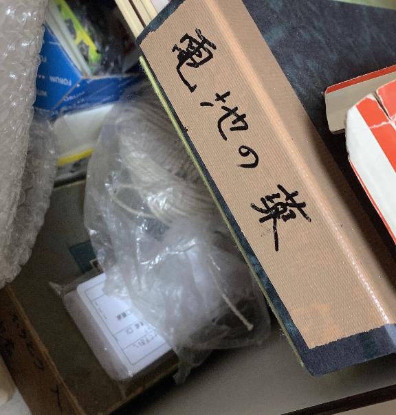 写メ日記サムネイル
