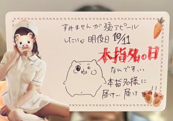 やれることはやっておくスタイル(恥は捨てた)