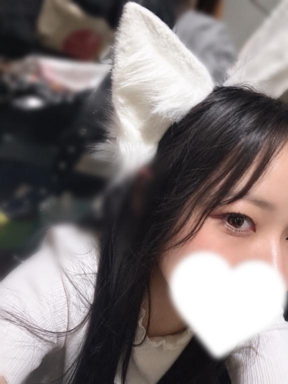 発掘🐈