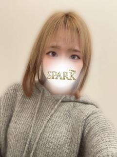 スパーク日本橋店 ホテヘル(店舗) MEA