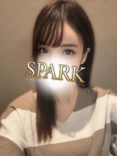 スパーク日本橋店 ホテヘル(店舗) RATE