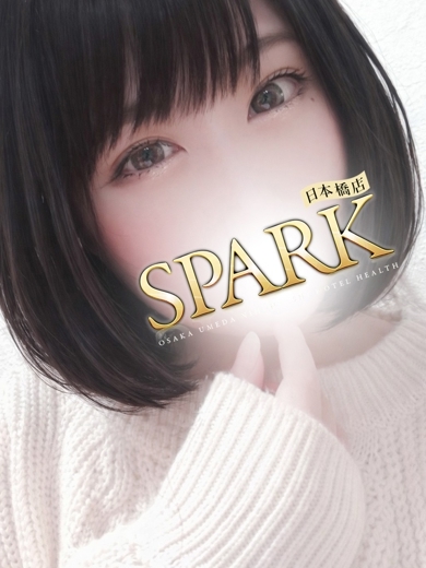 スパーク日本橋店 안마 (호텔) ひなの