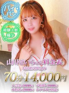 ノーパンパンスト　スケベなOL　梅田・兎我野店 hotel escort service parlor YAMAKAWA