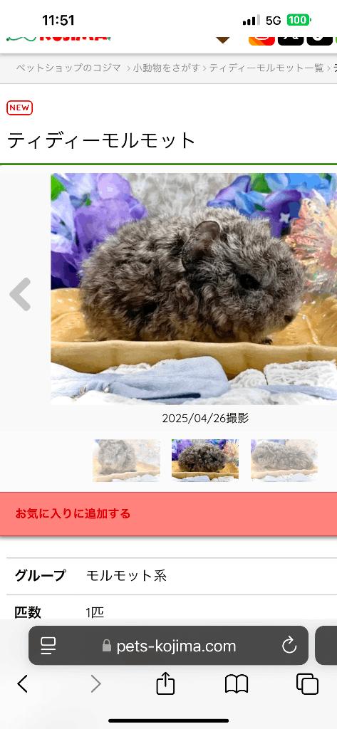 写メ日記サムネイル