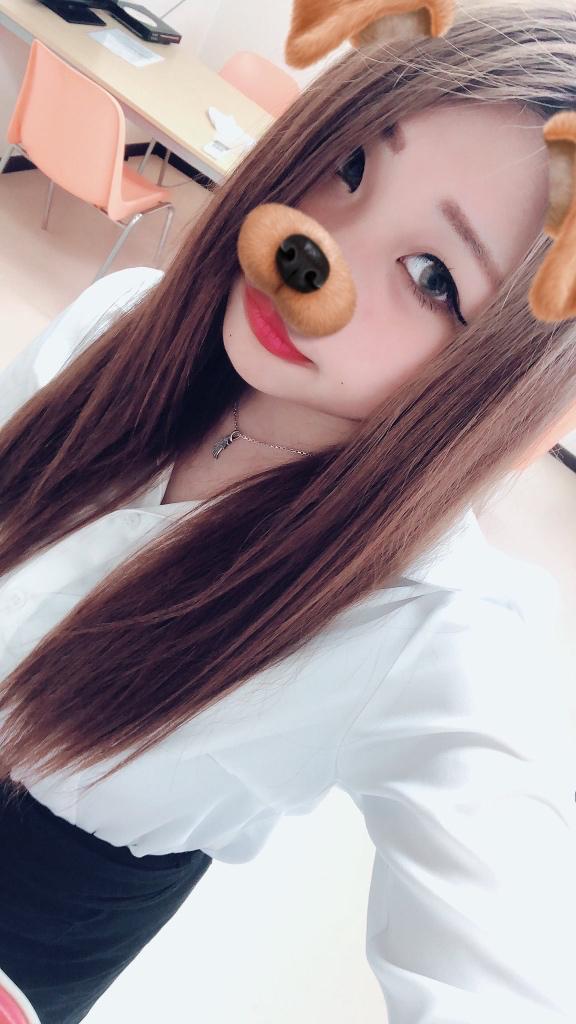 本日欠席です😿
