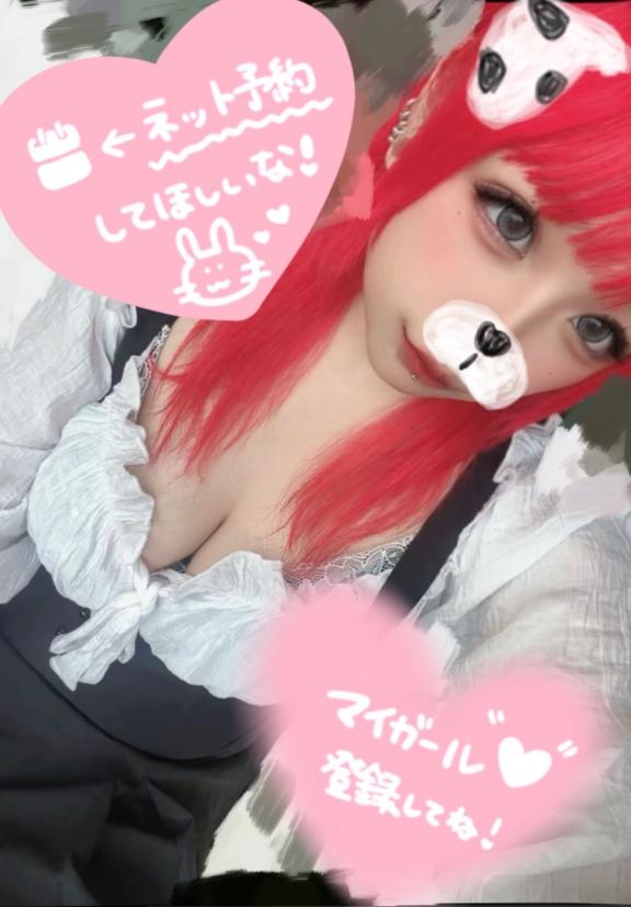 今日は居てるよ🐱