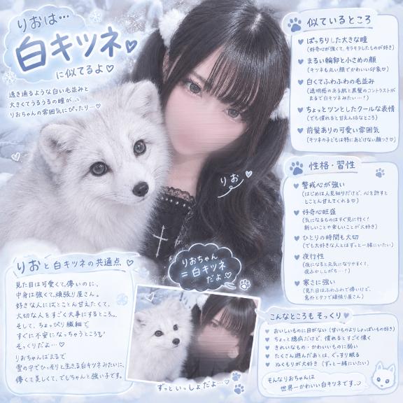 動物診断🦊