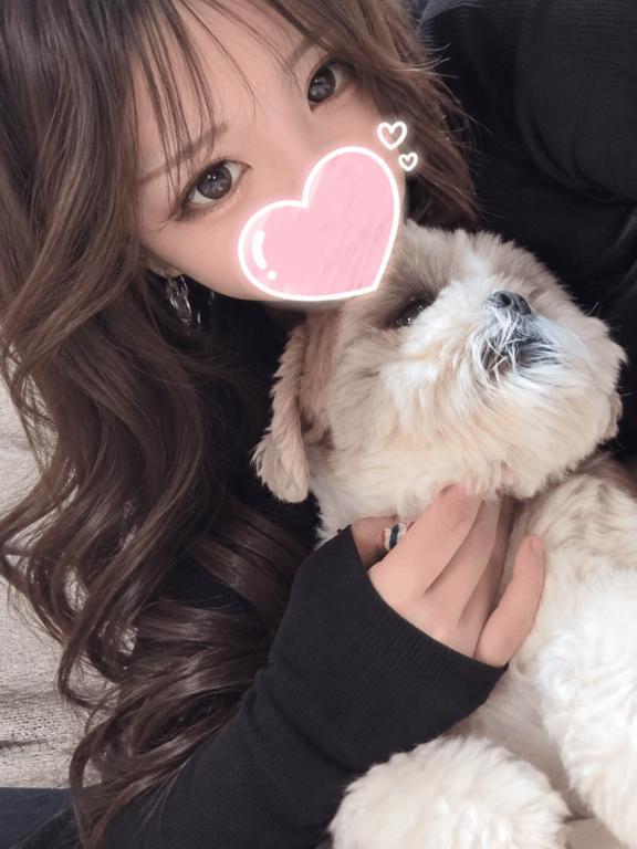愛犬🐶🐶