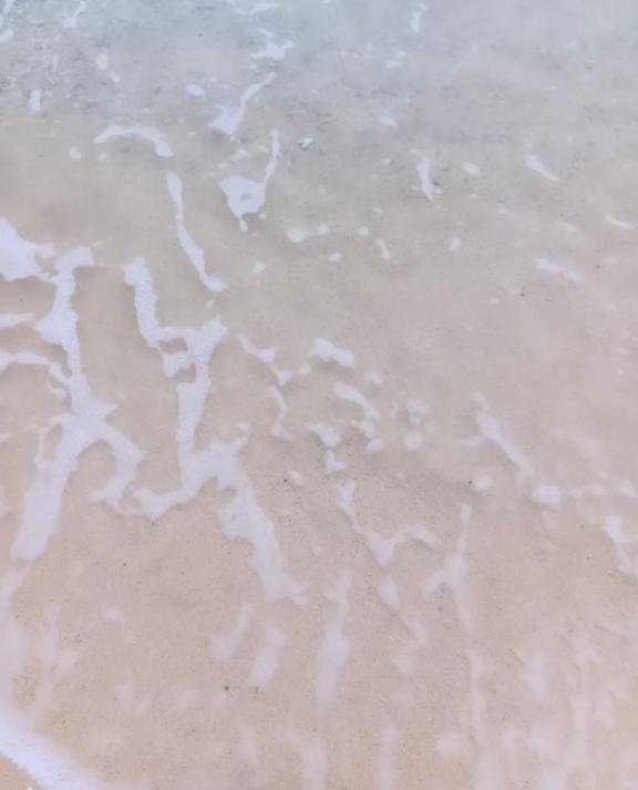 最後と言いましたが