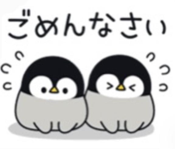 すみません💧‬