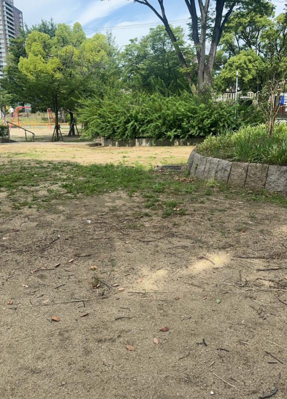 出勤しました🌞