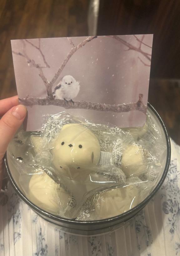 本指名様💌