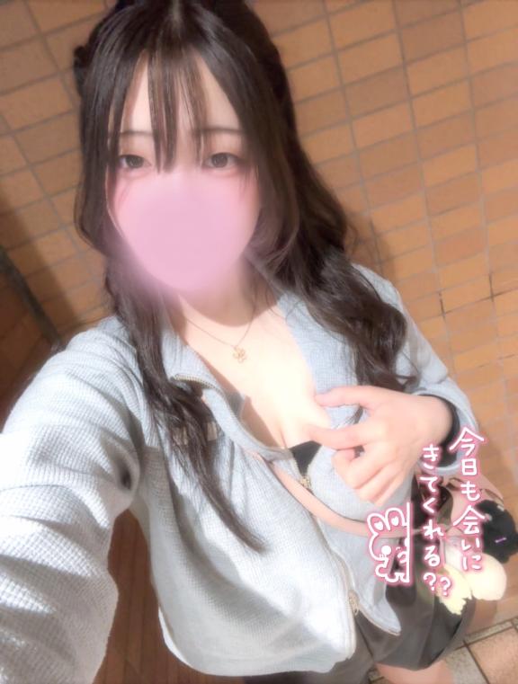今日も出勤したよー!