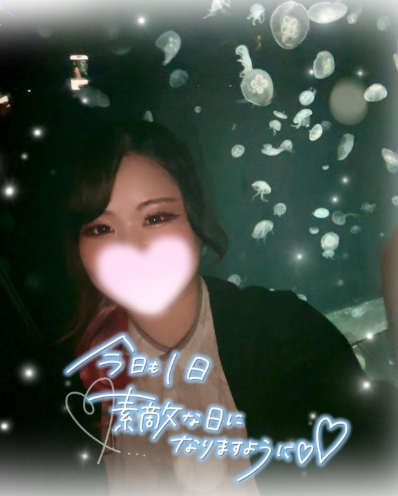 こんばんは🌙*.｡