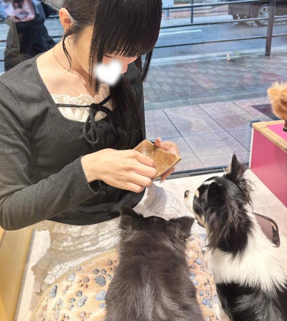 ご予約完売🈵♡