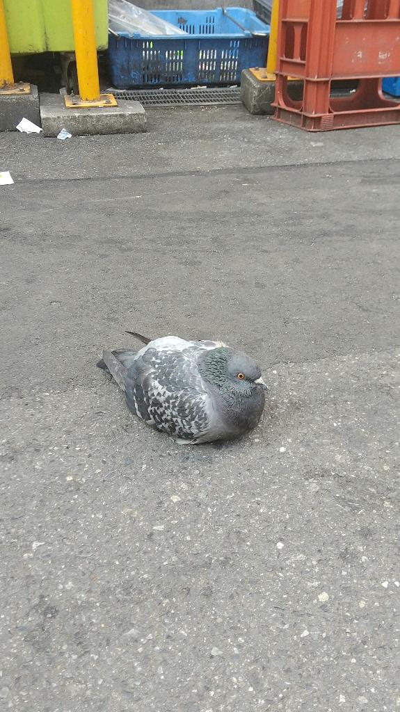 告知しちゃいます😘