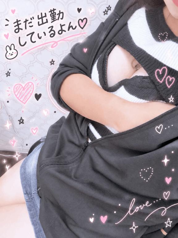     まだいるよ、会いにきて？