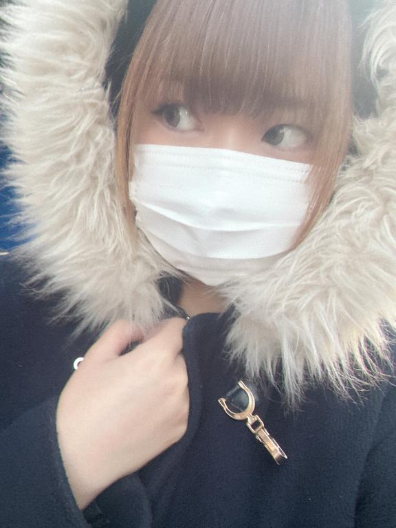 本日出勤します！！