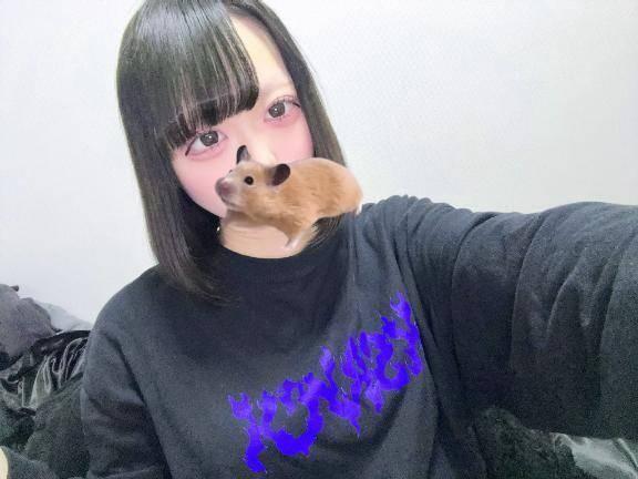 ～2日間限定～◆アインズの乱◆