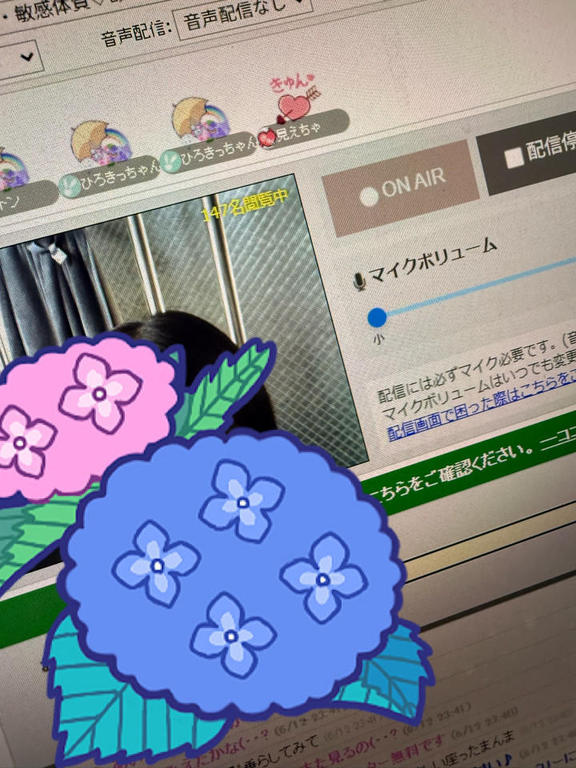 写メ日記サムネイル