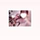 3/31♡長文💧お礼です