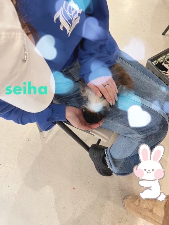 土日出勤🪄🌟