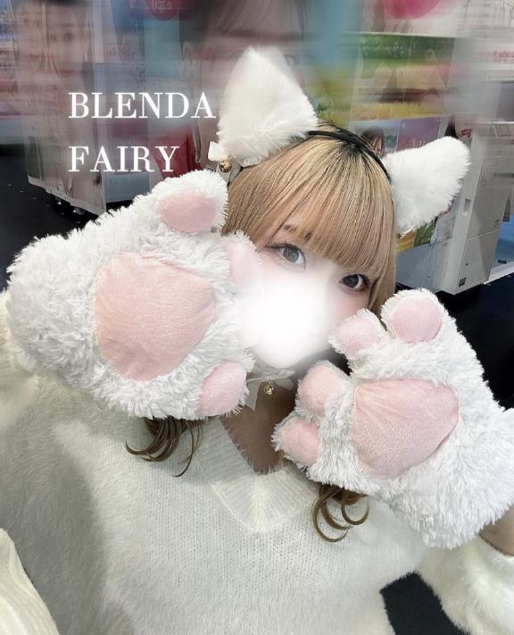 白猫🐈