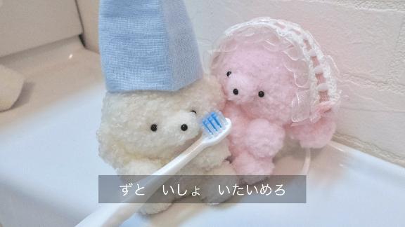 今日ちゅ🌷
