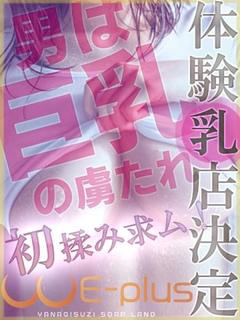ヴェラ
