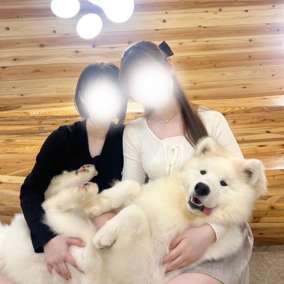 写メ日記サムネイル