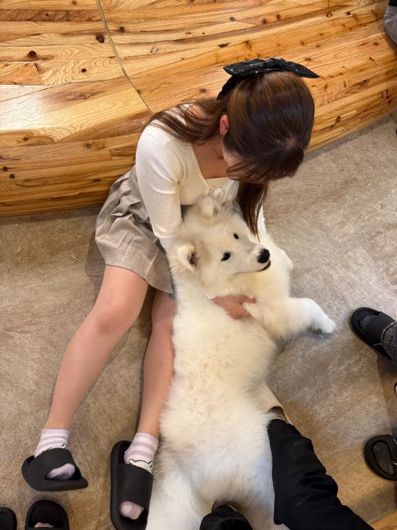 写メ日記サムネイル