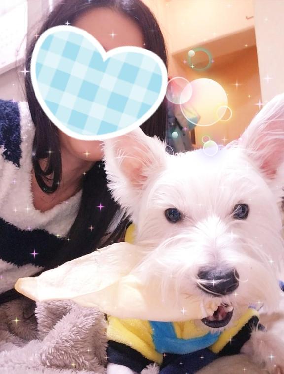 写メ日記サムネイル