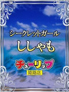 チューリップ姫路店 ソープランド spus