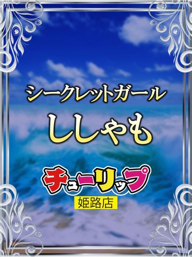 ちゅーりっぷひめじてん soapland service parlor ししゃも